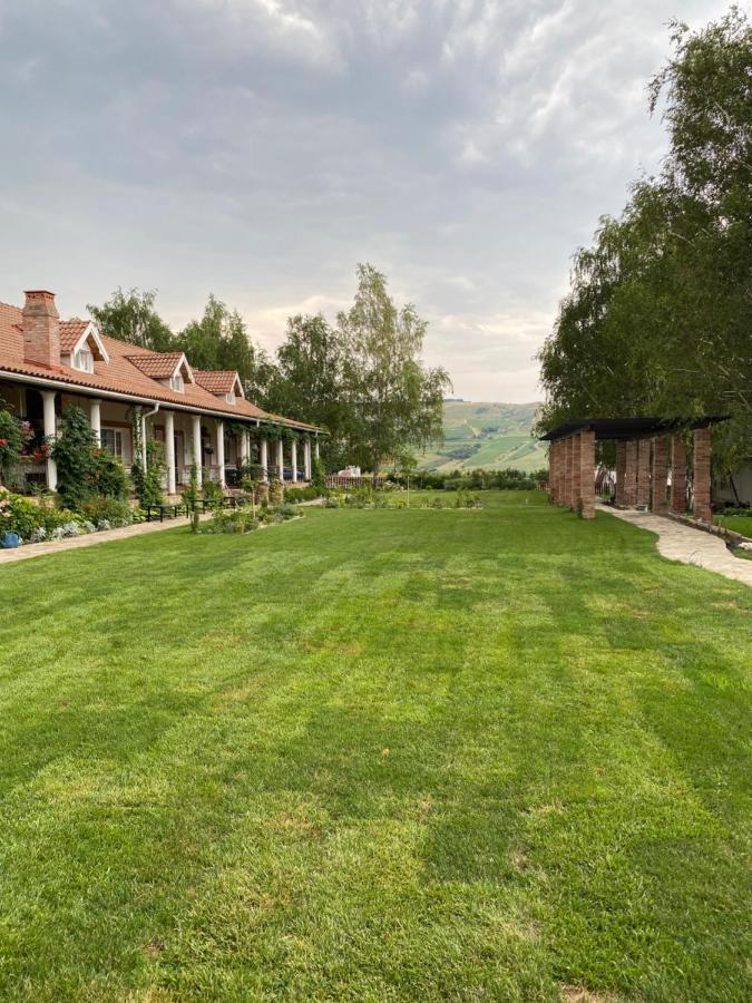 Country Club La Mesteceni Sebeş Buitenkant foto
