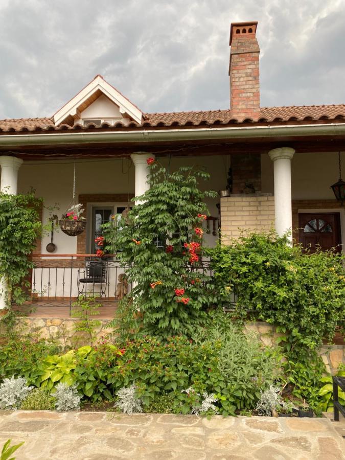 Country Club La Mesteceni Sebeş Buitenkant foto