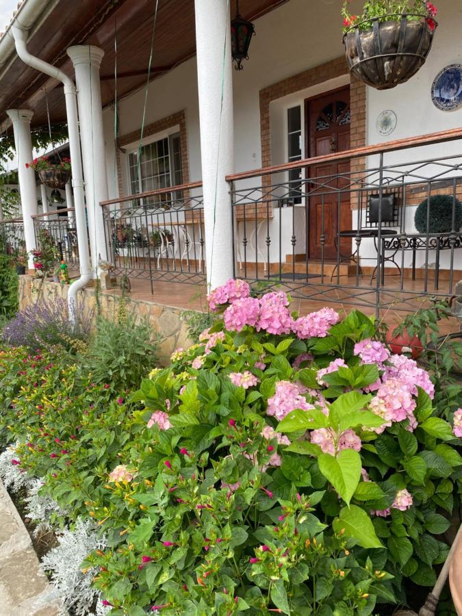 Country Club La Mesteceni Sebeş Buitenkant foto